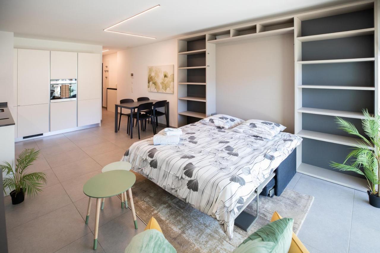 Residenza 5824 Διαμέρισμα Μπελλιντσόνα Εξωτερικό φωτογραφία